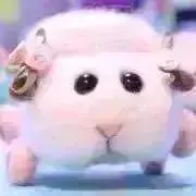 シガールの画像