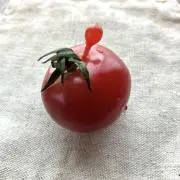 すやすやzzzの画像