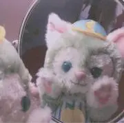 ちょこの画像