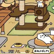 yoooookoの画像