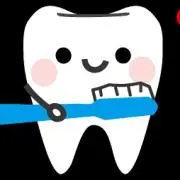 ひかるたん
