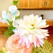 ゆりの画像