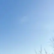 みかんの画像