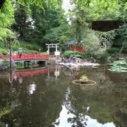 Liaの画像