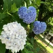 あっちー♪(*^^*)