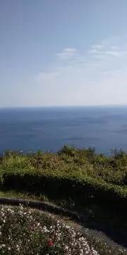 シーサー⭐︎プロフ必読の画像