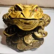 sachiの画像