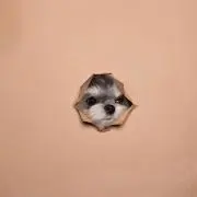 66の画像