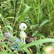♪こだま♪の画像