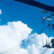 ユリの画像