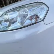 ましろの画像