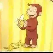 Georgeの画像