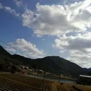 しろきんまん