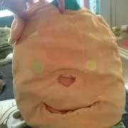 ミップー