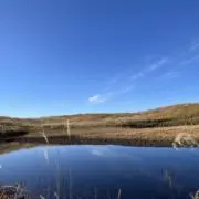 テラテラSelectの画像
