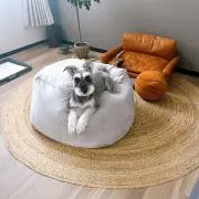 harukaの画像
