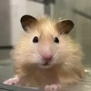 ゆに*の画像