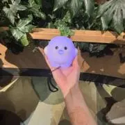 りーむの画像