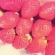 ぽよの画像
