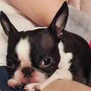 Image of ちぇん︎★購入前プロフ一読願♪