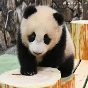 まっくポテトの画像