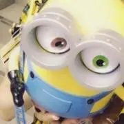 こみにおん