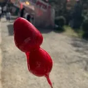 ナスビの画像