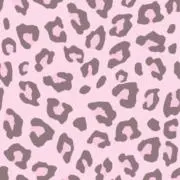 _☆*:.。.:☆_の画像