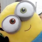 ボブの画像