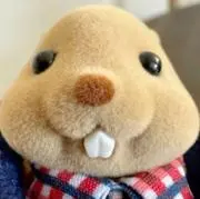 およげたいやきくんDXの画像