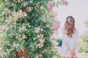 Verdureの画像