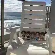 しいたけの画像
