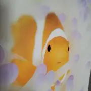 ラッキーやよいの画像
