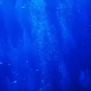 バレンシアガ