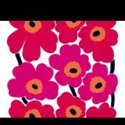 a⭐︎プロフ必読！の画像