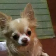 のんのん、プロフ必読(^^ゞ随時発送可能