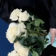 華の画像