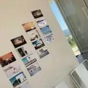 首領チンジャオの画像