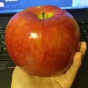 みんてぃあ