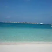 Y.Bの画像