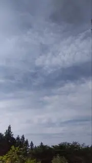 あいの画像