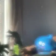 るいまるの画像