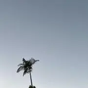 ocean seaの画像