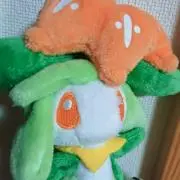 ファイトの画像