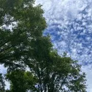 ❤︎の画像