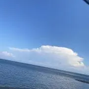 maiの画像