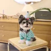 mの画像