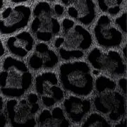 ryoooの画像