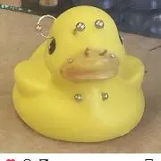 リンリン（プロフィール確認の画像