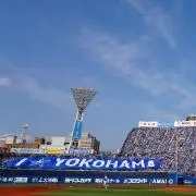 TOMOの画像